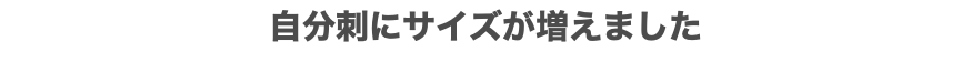 自分刺にサイズが増えました