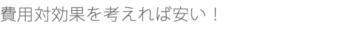 費用対効果を考えれば安い！