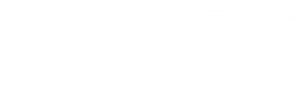 さすがプロの目線 だと思いました！