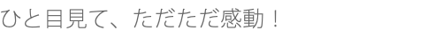 ひと目見て、ただただ感動！