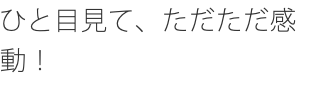 ひと目見て、ただただ感動！