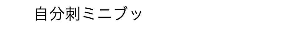 自分刺ミニブックは２タイプ。