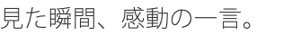 見た瞬間、感動の一言。